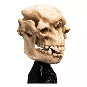 Lord of The Rings Mini Soška Skull of a cave Troll 21 cm Weta Workshop