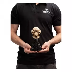 Lord of The Rings Mini Soška Skull of a cave Troll 21 cm Weta Workshop