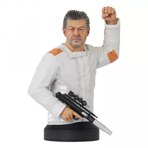 Star Wars: Andor Bysta 1/6 Kino Loy 16 cm